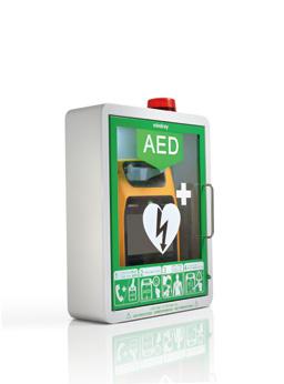 Шкафы для хранения АВД (с креплением, замком и сигнализацией)